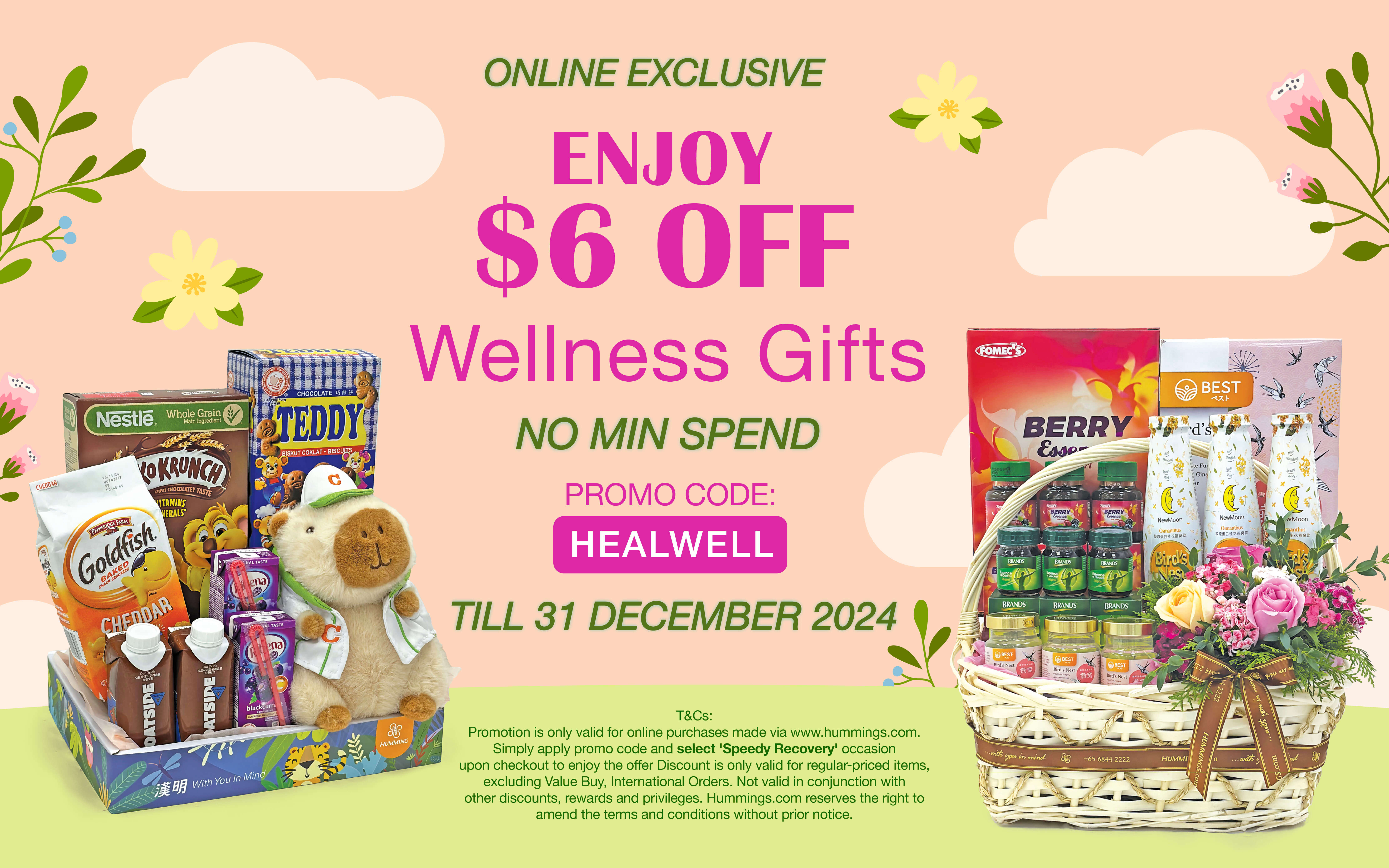 DEC24 GET WELL GIFTS PROMO